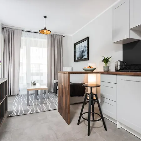 Apartment Slusarska 1